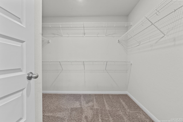 walk in closet with carpet