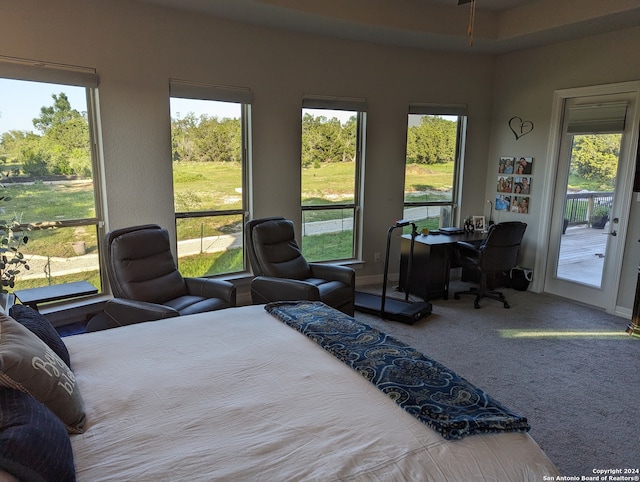 bedroom featuring access to outside, multiple windows, and carpet flooring