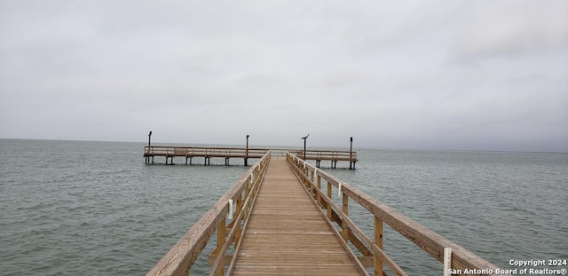 dock area with a water view