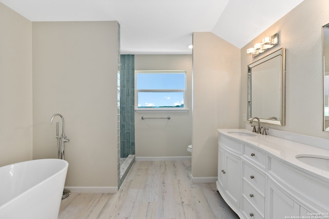 bathroom featuring dual bowl vanity, a bathtub, and toilet