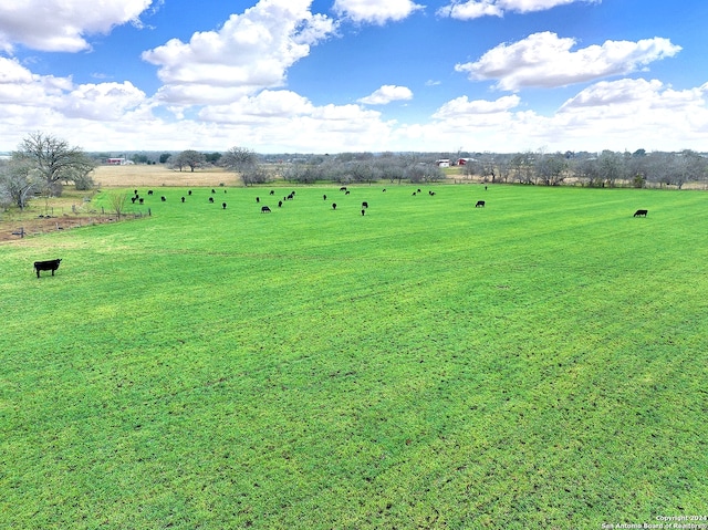 Listing photo 2 for TBD County Road 342, La Vernia TX 78121