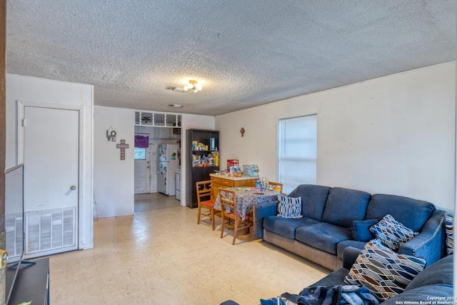 living room featuring a textured ceiling