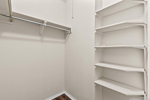 spacious closet featuring wood-type flooring