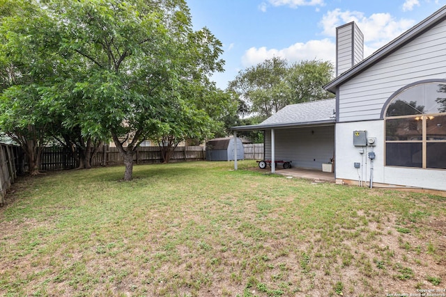 view of yard featuring a patio and a shed