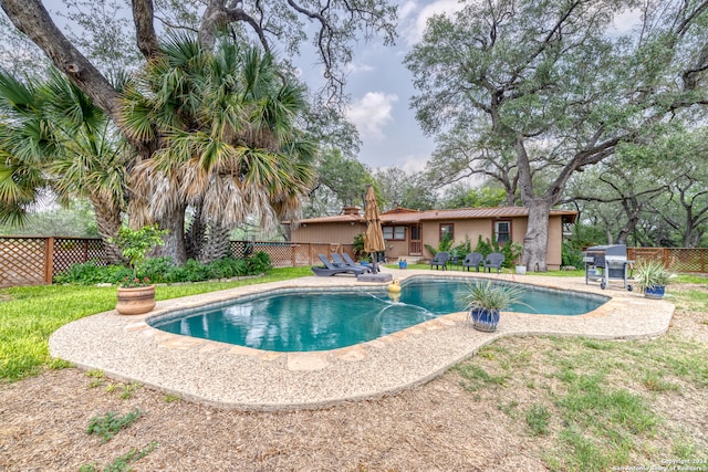 view of swimming pool featuring a patio area and a grill