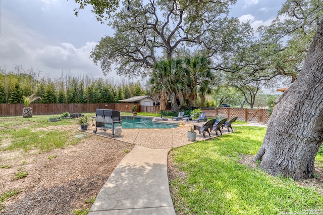 view of pool featuring a patio area and a yard