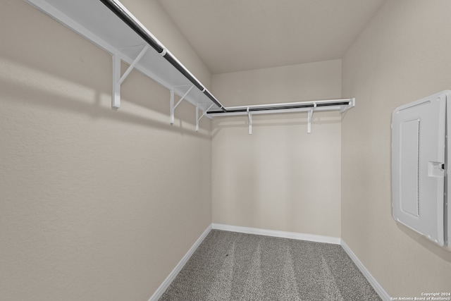 walk in closet with carpet floors