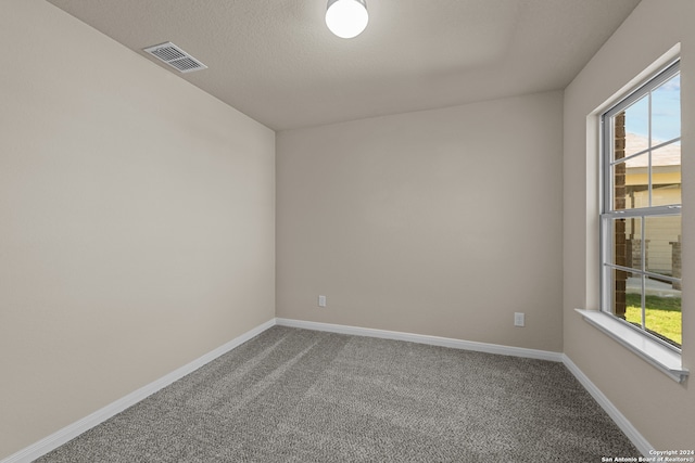 spare room featuring carpet flooring and a textured ceiling