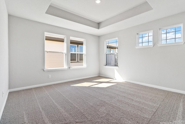 unfurnished room with a raised ceiling and carpet