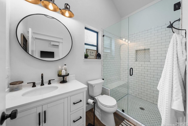 bathroom featuring toilet, a shower stall, wood finished floors, and vanity