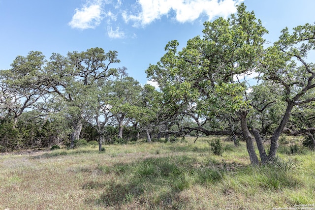 664 Annabelle Ave, Bulverde, TX 78163
