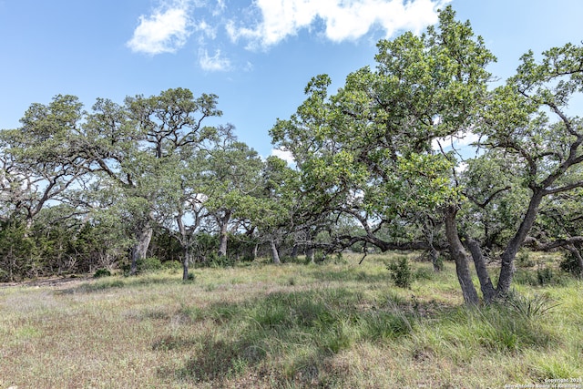 Listing photo 3 for 664 Annabelle Ave, Bulverde TX 78163