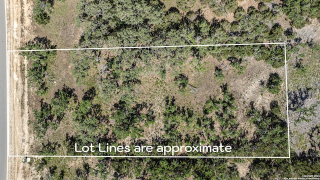 664 Annabelle Ave, Bulverde, TX 78163
