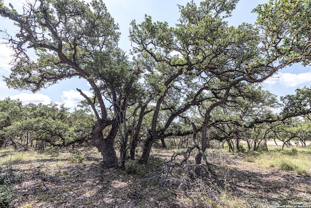664 Annabelle Ave, Bulverde, TX 78163