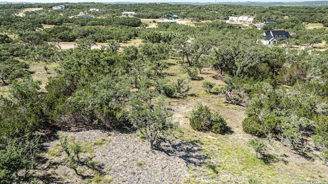664 Annabelle Ave, Bulverde, TX 78163
