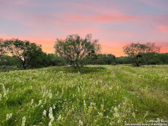 730 County Road 2530, Moore TX, 78057 land for sale