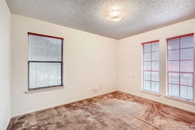 spare room with carpet floors and a textured ceiling