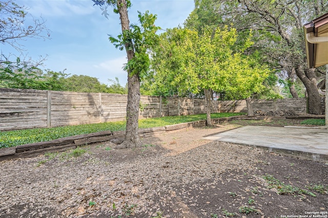 view of yard featuring a patio area