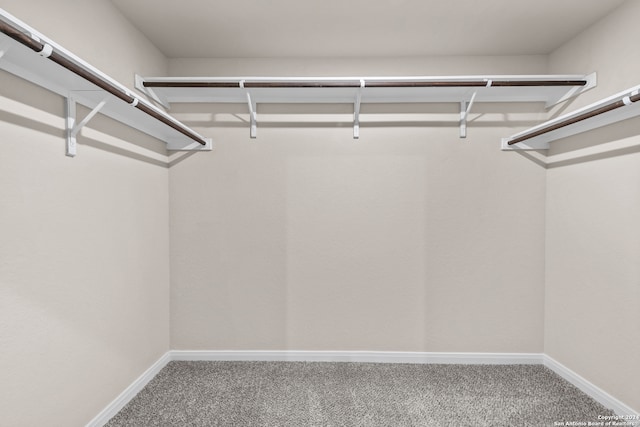 walk in closet featuring carpet floors