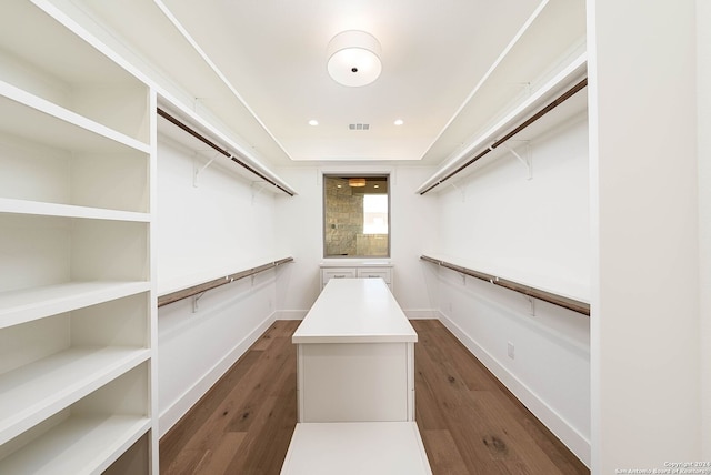 spacious closet with dark wood-type flooring