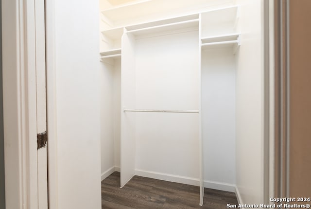 spacious closet with dark hardwood / wood-style flooring