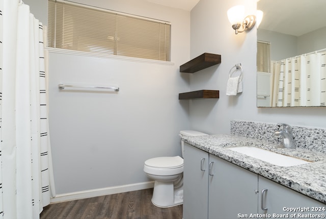 bathroom featuring vanity, wood-type flooring, and toilet