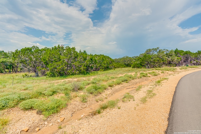 Listing photo 3 for 1642 Paradise Pkwy, Canyon Lake TX 78133