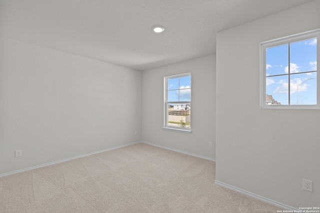 carpeted empty room featuring a healthy amount of sunlight