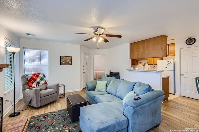 living room featuring ceiling fan, light hardwood / wood-style flooring, a textured ceiling, and ornamental molding