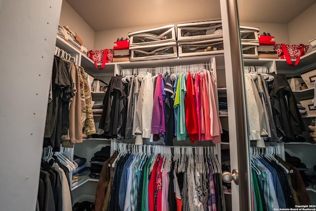 view of spacious closet