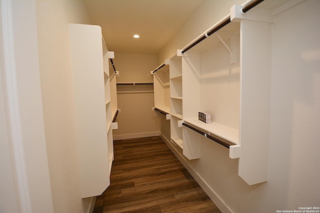 spacious closet featuring dark wood-type flooring