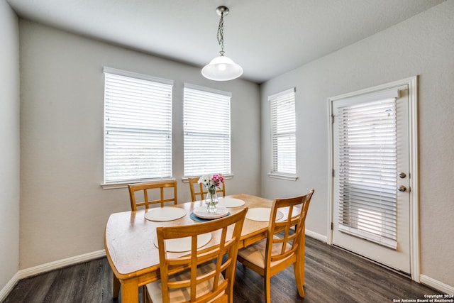 dining room featuring dark hardwood / wood-style floors and a wealth of natural light