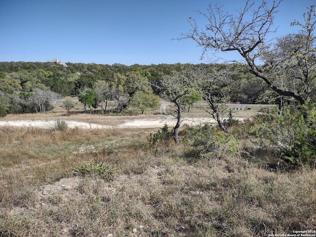 Listing photo 3 for LOT222 Comal Spgs, Canyon Lake TX 78133