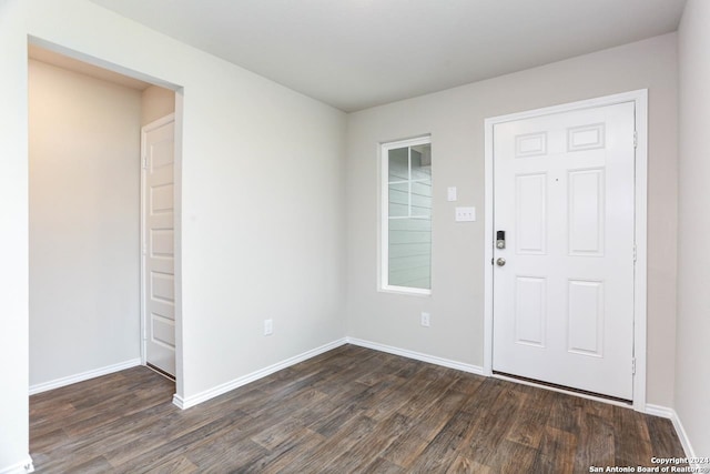 entrance foyer with dark wood-type flooring