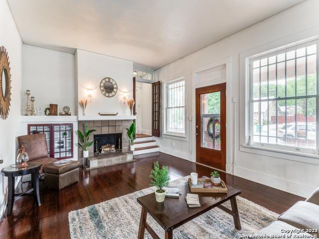 living room featuring a fireplace and dark wood-type flooring