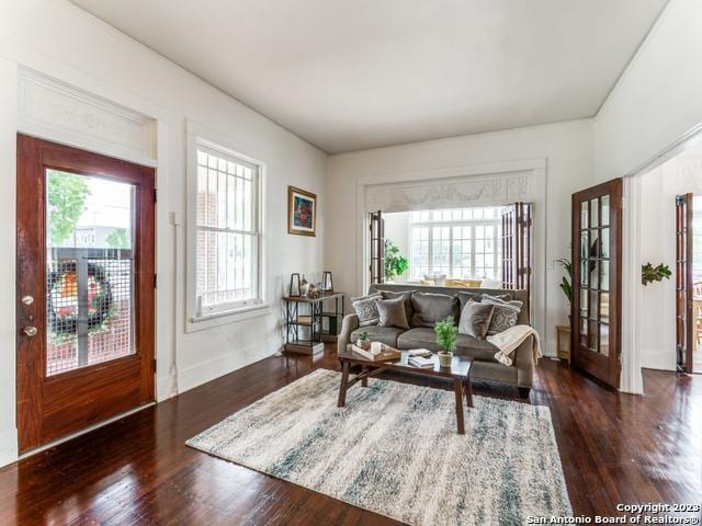 living room featuring french doors and dark wood-type flooring