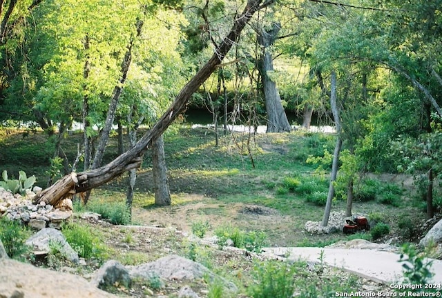 view of landscape featuring a view of trees