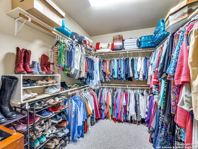 spacious closet with carpet floors