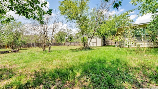 view of yard with a storage unit