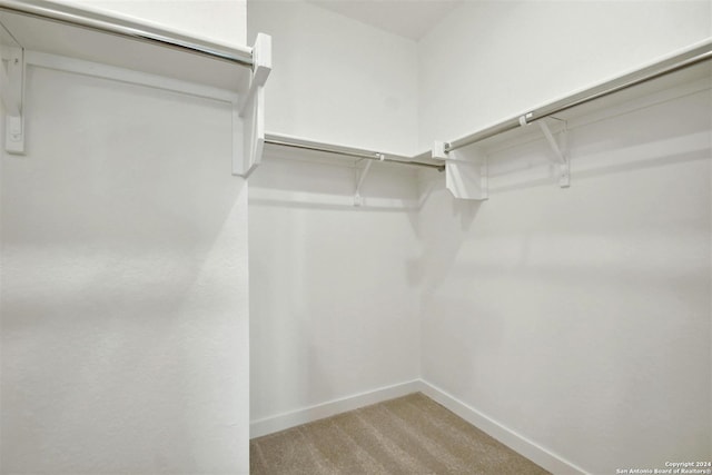 walk in closet featuring light colored carpet