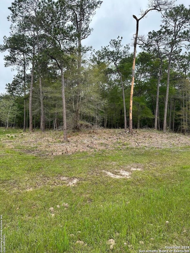 Listing photo 2 for 1035 Cub Dr, Kountze TX 77625