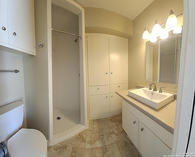 bathroom featuring a shower, vanity, and toilet