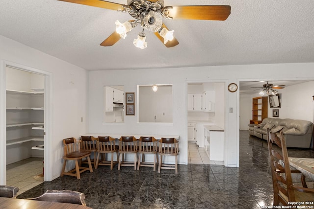 111 Casa Blanca, Del Rio, TX 78840 - dining room featuring ceiling fan and a textured ceiling