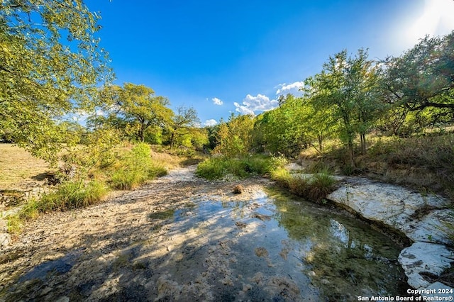 view of nature