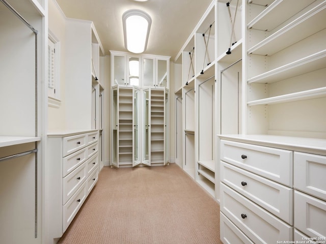 walk in closet with light carpet