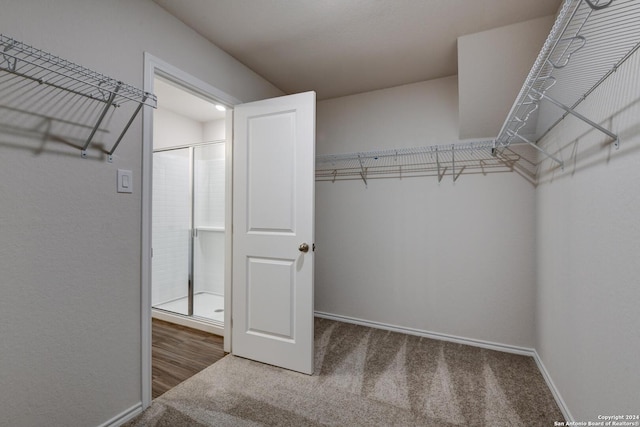 spacious closet with carpet