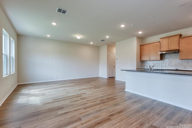 kitchen with light hardwood / wood-style floors and tasteful backsplash