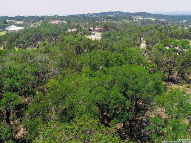 684 Travis Forest Dr, Bulverde, TX 78163