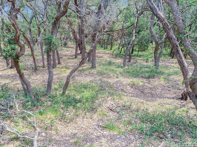 684 Travis Forest Dr, Bulverde, TX 78163