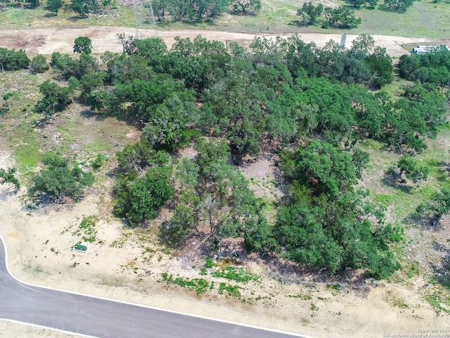 684 Travis Forest Dr, Bulverde, TX 78163